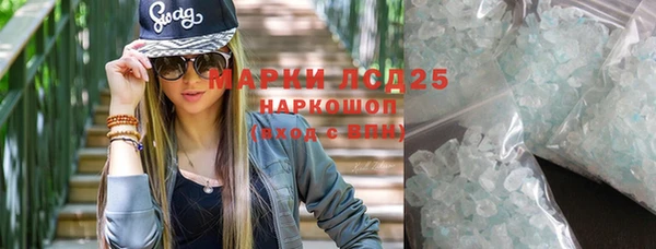 ГАЛЛЮЦИНОГЕННЫЕ ГРИБЫ Баксан
