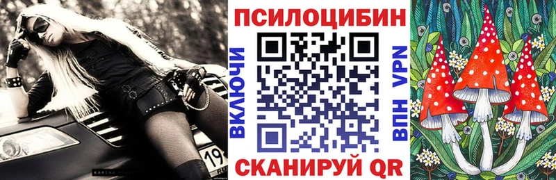 где продают   Вятские Поляны  Галлюциногенные грибы Cubensis 